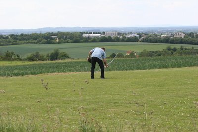 hlg2009141.jpg