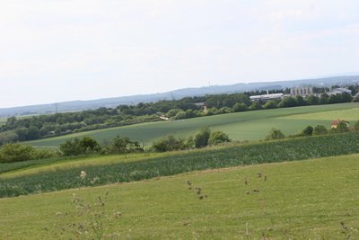 hlg2009159.jpg
