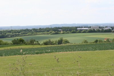 hlg2009162.jpg