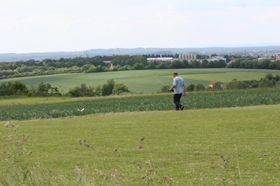 hlg2009164.jpg