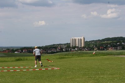 hlg2009189.jpg