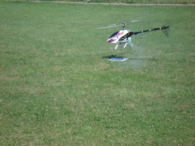 heliwett0647.jpg