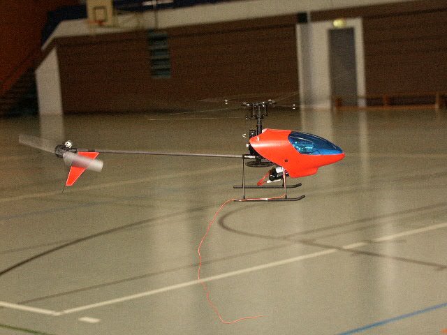 halle04110635.jpg