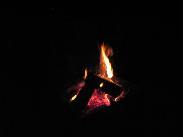 sonnewnd06129.jpg