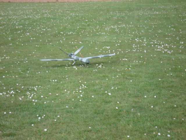 divfruehjr0728.jpg