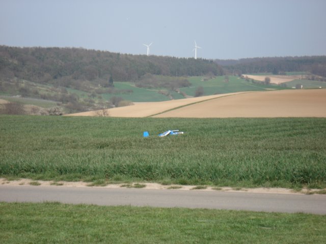 divfruehjr0749.jpg