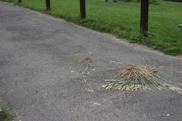 vandalismus4.jpg