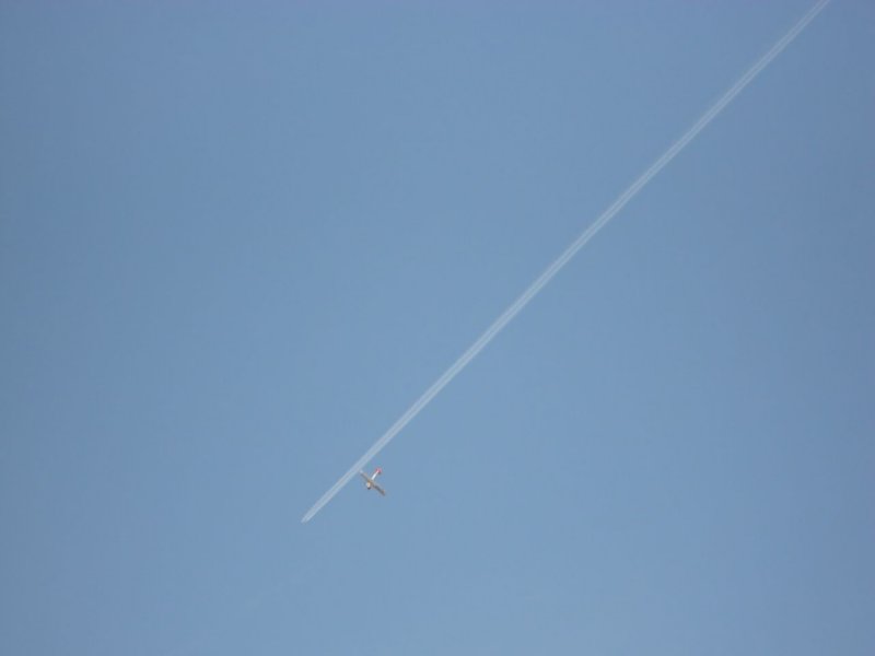 img20150802wa0014.jpg