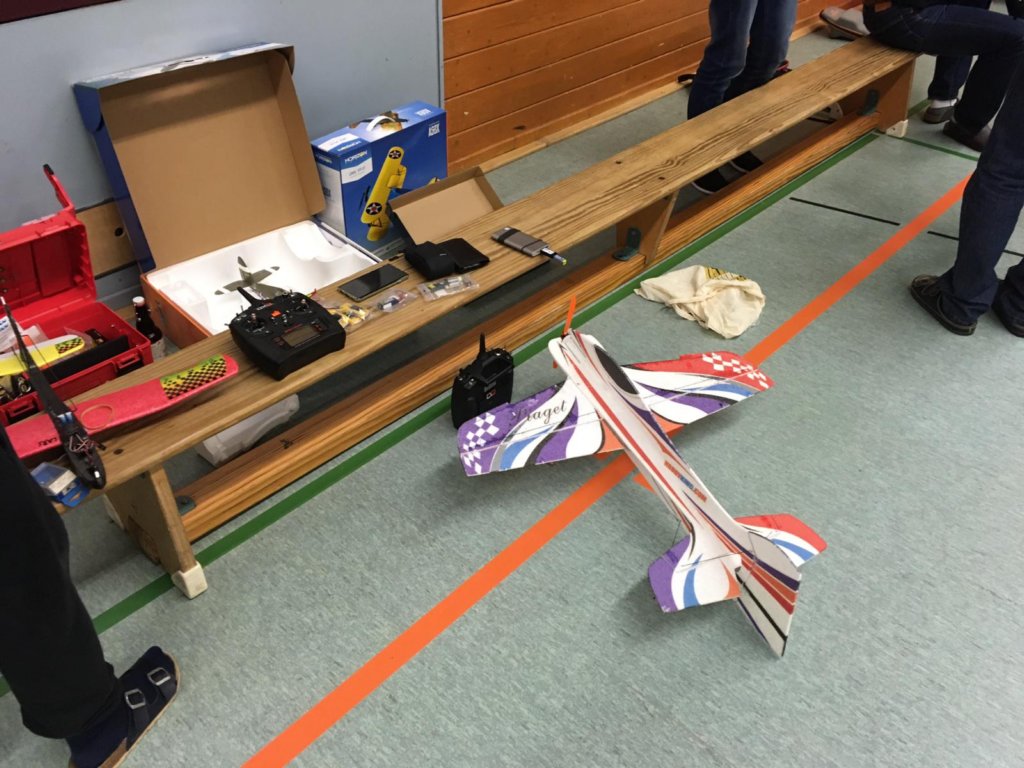 hallenfliegen1412194.jpg