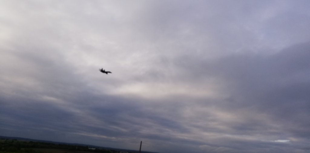 montag0710197.jpg