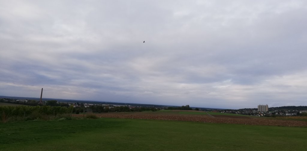 montag0710198.jpg
