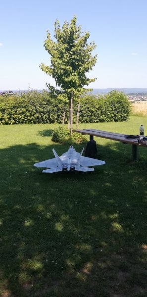 f22raptor.jpg