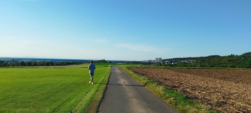 fliegenbeimstammtisch1808236.jpg