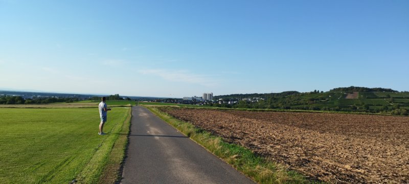 fliegenbeimstammtisch1808237.jpg