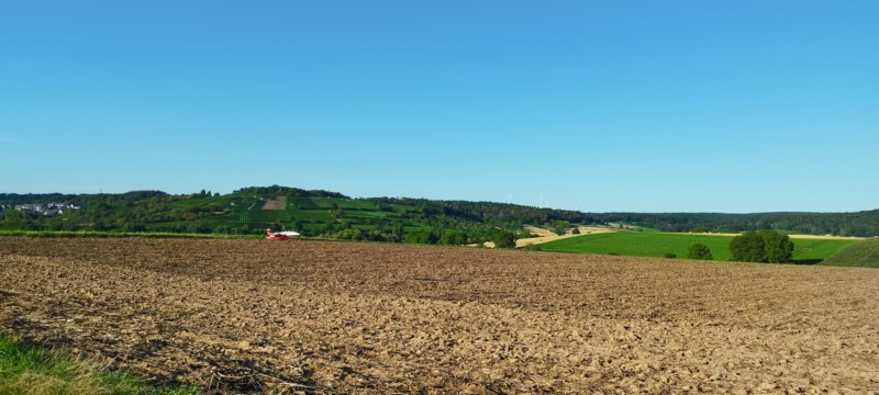 fliegenbeimstammtisch1808238.jpg