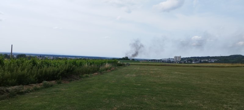 feueraueinemkleinenfeld260623.jpg
