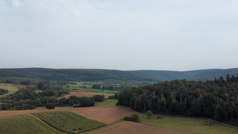 photo.jpg