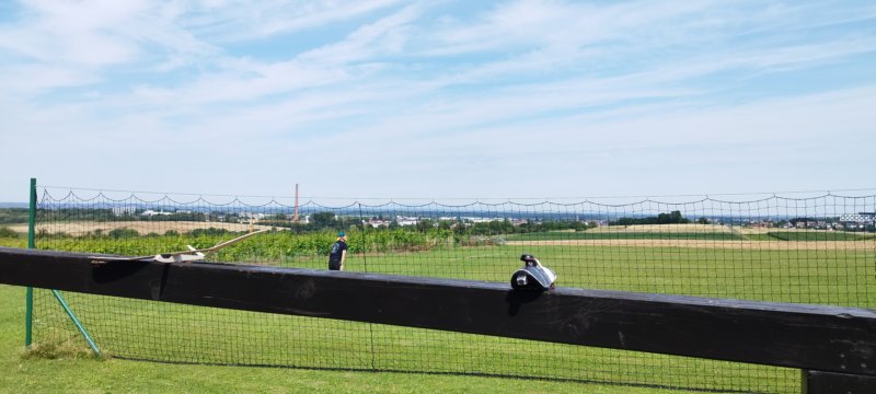 abschlussaufdemflugplatz1907202416.jpg