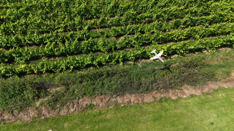 abschlussaufdemflugplatz1907202442.jpg