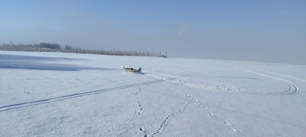 schneefliegen200420242.jpg