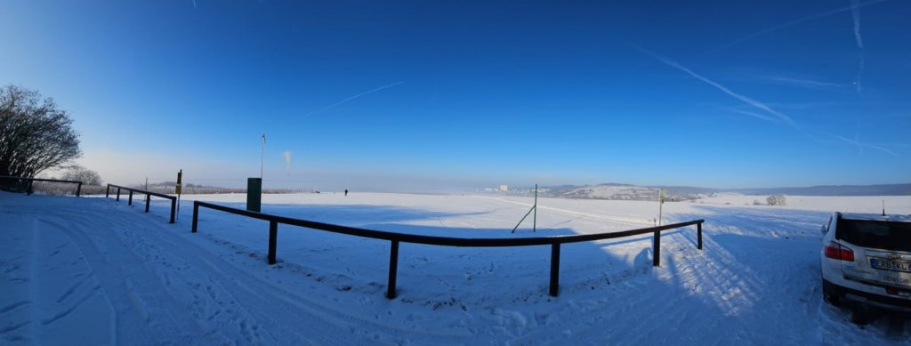 schneefliegen2004202429.jpg