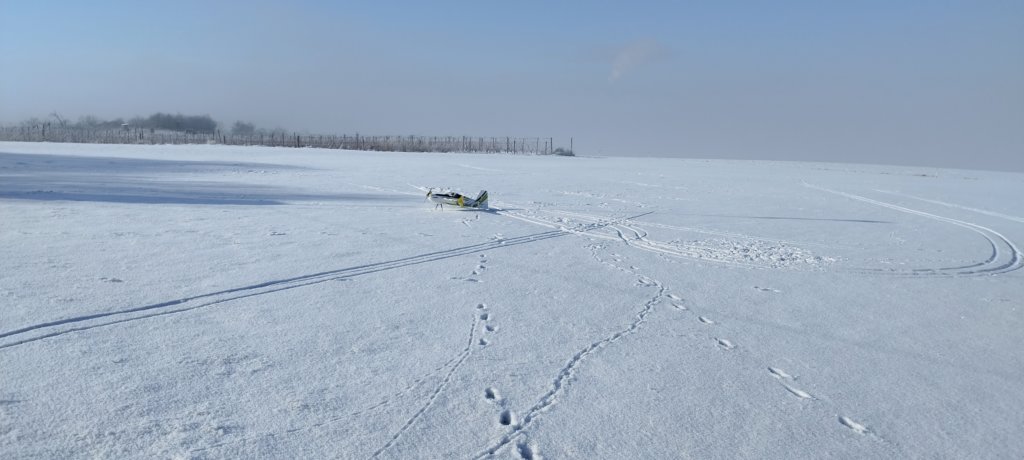 schneefliegen200420244.jpg