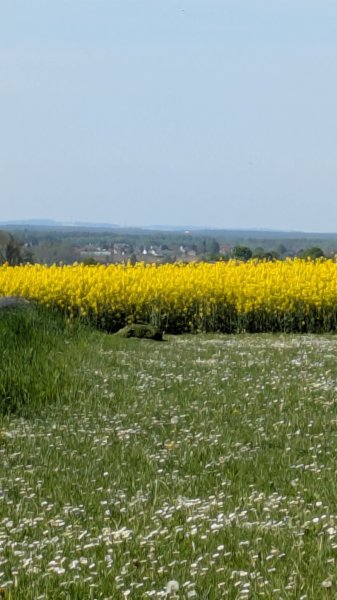 photo41.jpg