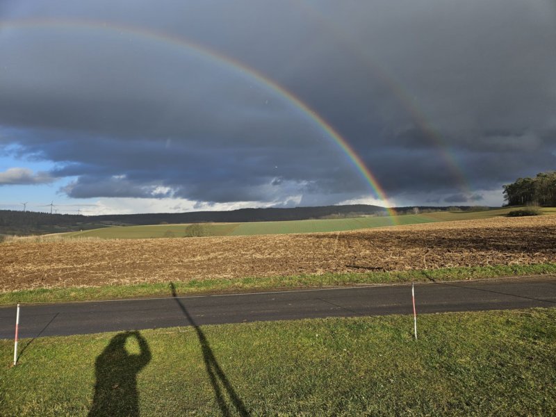 rainbowheli.jpg