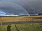rainbowheli_small.jpg