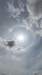 haloberdemodenwald24052025_small.jpg