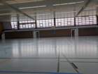 hallenfliegen12102521_small.jpg