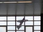 hallenfliegen12102522_small.jpg