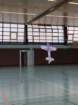 hallenfliegen1210255_small.jpg