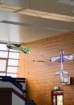 hallenfliegen1210257_small.jpg