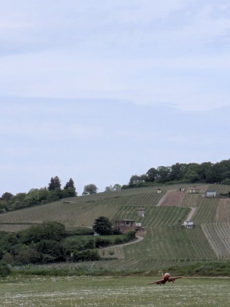 photo22.jpg