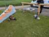 stofffliegeram160520262_small.jpg