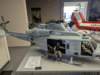 rotorliveiniffezheim2_small.jpg